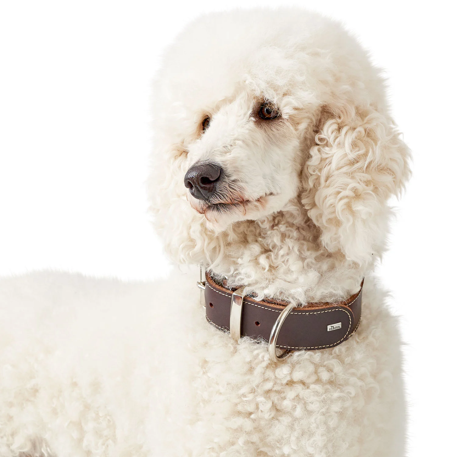 Hunter Aalborg Special Hundehalsbånd Brun 45 - 30-38 cm